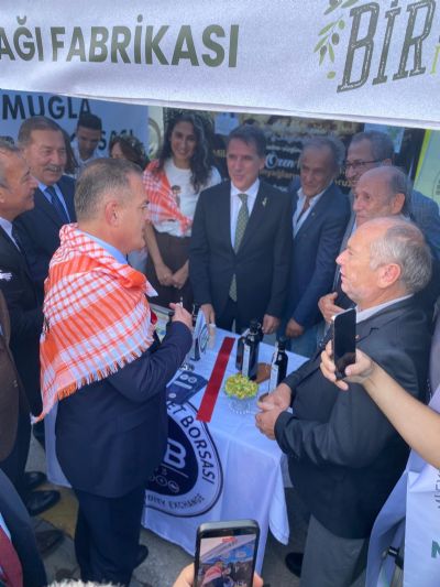 11. Uluslararas Milas Zeytin Hasat enlii